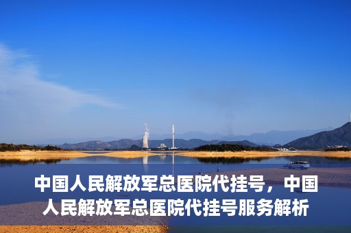 中国人民解放军总医院代挂号，中国人民解放军总医院代挂号服务解析