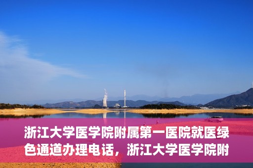 浙江大学医学院附属第一医院就医绿色通道办理电话，浙江大学医学院附属第一医院就医绿色通道服务热线电话解析及办理指南