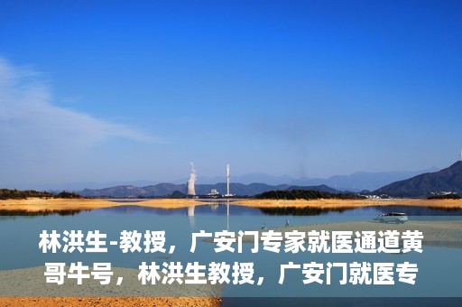 林洪生-教授，广安门专家就医通道黄哥牛号，林洪生教授，广安门就医专家通道揭秘，黄哥牛号引领健康之路