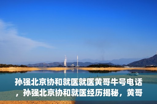 孙强北京协和就医就医黄哥牛号电话，孙强北京协和就医经历揭秘，黄哥牛号背后的电话故事