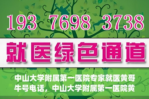 中山大学附属第一医院专家就医黄哥牛号电话，中山大学附属第一医院黄哥牛号专家就医电话揭秘