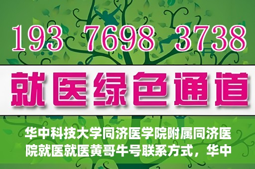 华中科技大学同济医学院附属同济医院就医就医黄哥牛号联系方式，华中科技大学同济医院就医指南，黄哥牛号联系方式揭秘