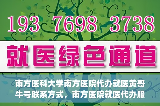 南方医科大学南方医院代办就医黄哥牛号联系方式，南方医院就医代办服务联系指南，黄哥牛号联系方式揭秘