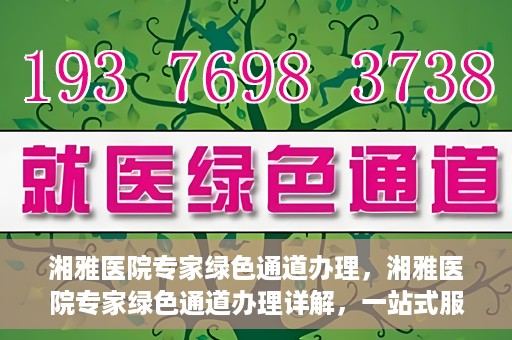 湘雅医院专家绿色通道办理，湘雅医院专家绿色通道办理详解，一站式服务助力高效就医体验