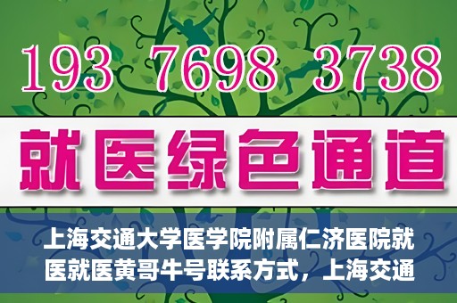 上海交通大学医学院附属仁济医院就医就医黄哥牛号联系方式，上海交通大学医学院附属仁济医院就医指南，黄哥牛号联系方式揭秘