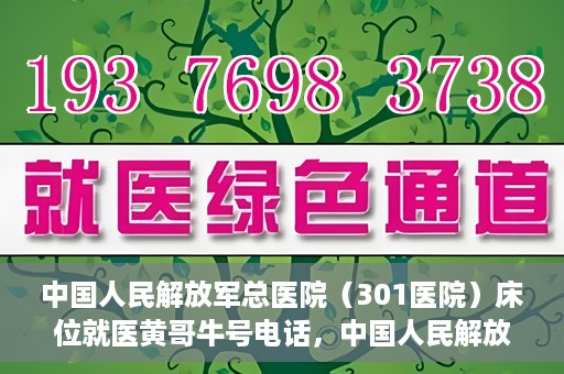 中国人民解放军总医院（301医院）床位就医黄哥牛号电话，中国人民解放军总医院（301医院）床位预约就医攻略，黄哥牛号电话全解析