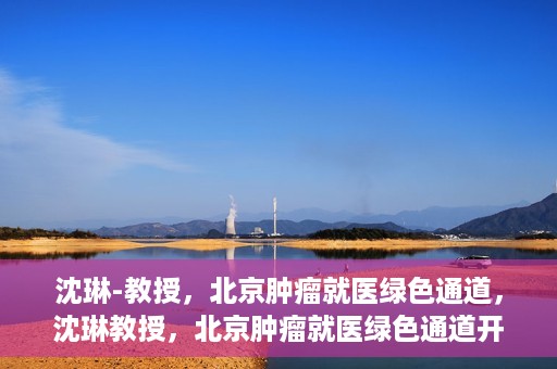沈琳-教授，北京肿瘤就医绿色通道，沈琳教授，北京肿瘤就医绿色通道开启之门