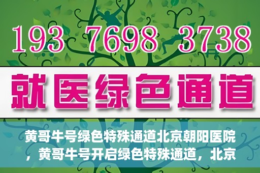 黄哥牛号绿色特殊通道北京朝阳医院，黄哥牛号开启绿色特殊通道，北京朝阳医院助力健康之路