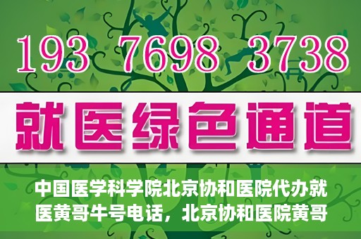中国医学科学院北京协和医院代办就医黄哥牛号电话，北京协和医院黄哥就医代办服务，专业协助预约挂号，快速就医通道揭秘