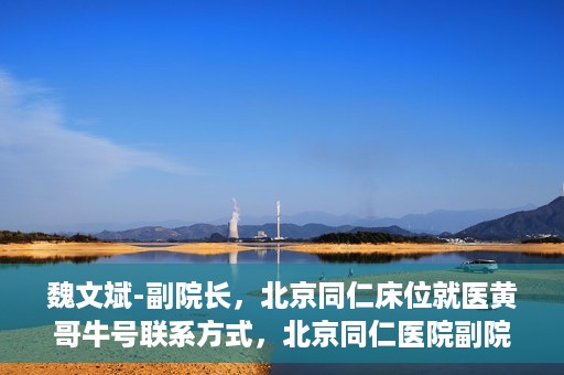 魏文斌-副院长，北京同仁床位就医黄哥牛号联系方式，北京同仁医院副院长魏文斌，床位就医问题与黄哥牛号联系方式解析