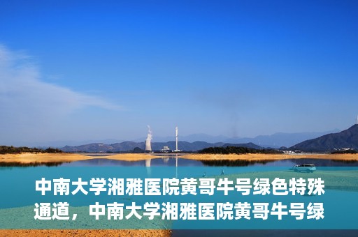 中南大学湘雅医院黄哥牛号绿色特殊通道，中南大学湘雅医院黄哥牛号绿色特殊通道，医疗服务的创新实践与人文关怀的体现