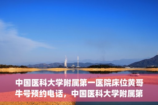 中国医科大学附属第一医院床位黄哥牛号预约电话，中国医科大学附属第一医院床位预约电话及黄哥牛号预约攻略