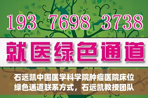 石远凯中国医学科学院肿瘤医院床位绿色通道联系方式，石远凯教授团队床位绿色通道联系方式及咨询指南——中国医学科学院肿瘤医院服务解析