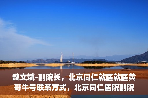 魏文斌-副院长，北京同仁就医就医黄哥牛号联系方式，北京同仁医院副院长魏文斌，就医联系方式与黄哥牛号解析