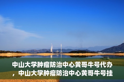 中山大学肿瘤防治中心黄哥牛号代办，中山大学肿瘤防治中心黄哥牛号挂号代办服务解析