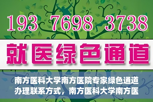 南方医科大学南方医院专家绿色通道办理联系方式，南方医科大学南方医院专家绿色通道联系指南，一键获取办理联系方式