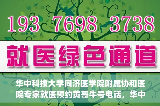 华中科技大学同济医学院附属协和医院专家就医预约黄哥牛号电话，华中科技大学同济医学院附属协和医院专家预约挂号攻略，黄哥牛号电话就医预约指南