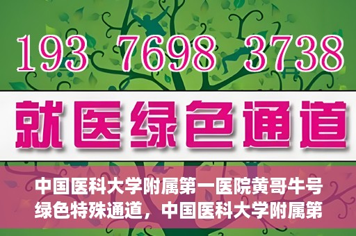 中国医科大学附属第一医院黄哥牛号绿色特殊通道，中国医科大学附属第一医院黄哥牛号，绿色特殊通道的开启与探索