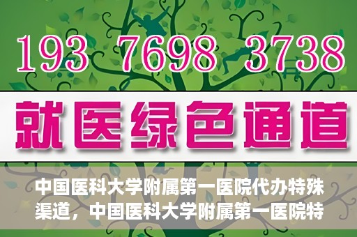 中国医科大学附属第一医院代办特殊渠道，中国医科大学附属第一医院特殊渠道代办服务详解