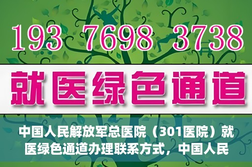 中国人民解放军总医院（301医院）就医绿色通道办理联系方式，中国人民解放军总医院就医绿色通道办理指南，快速联系与申请流程揭秘