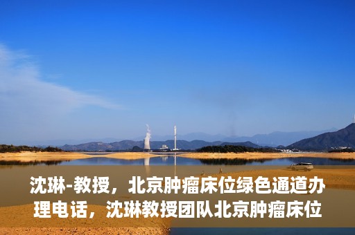 沈琳-教授，北京肿瘤床位绿色通道办理电话，沈琳教授团队北京肿瘤床位绿色通道办理热线揭秘