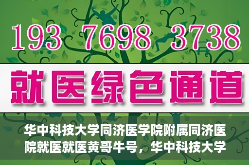 华中科技大学同济医学院附属同济医院就医就医黄哥牛号，华中科技大学同济医院就医体验分享，黄哥牛号就医之旅