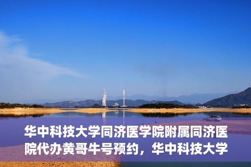 华中科技大学同济医学院附属同济医院代办黄哥牛号预约，华中科技大学同济医院黄哥牛号预约代办服务解析