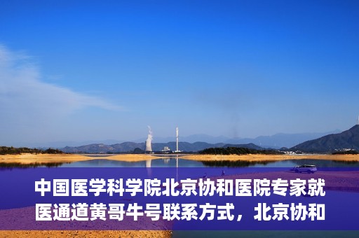 中国医学科学院北京协和医院专家就医通道黄哥牛号联系方式，北京协和医院专家黄哥牛号就医指南及联系方式揭秘