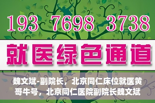 魏文斌-副院长，北京同仁床位就医黄哥牛号，北京同仁医院副院长魏文斌揭秘床位就医黄哥牛号背后的故事