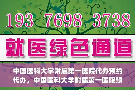 中国医科大学附属第一医院代办预约代办，中国医科大学附属第一医院预约代办服务详解