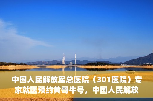 中国人民解放军总医院（301医院）专家就医预约黄哥牛号，中国人民解放军总医院（301医院）黄哥牛号专家预约就医攻略