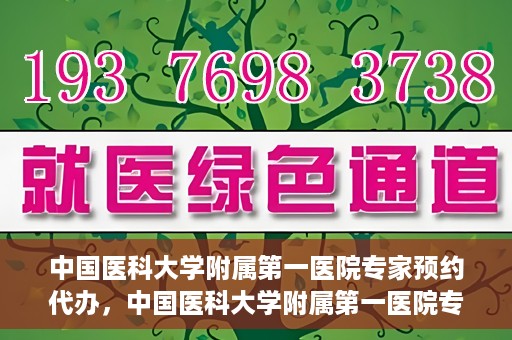 中国医科大学附属第一医院专家预约代办，中国医科大学附属第一医院专家预约代办服务详解