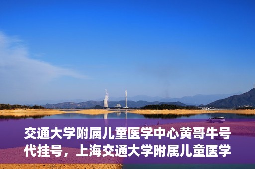 交通大学附属儿童医学中心黄哥牛号代挂号，上海交通大学附属儿童医学中心黄哥牛号代挂号解析与攻略