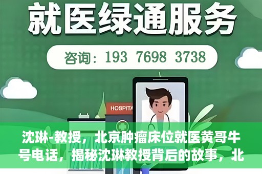 沈琳-教授，北京肿瘤床位就医黄哥牛号电话，揭秘沈琳教授背后的故事，北京肿瘤床位就医背后的黄哥牛号电话揭秘