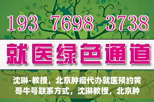 沈琳-教授，北京肿瘤代办就医预约黄哥牛号联系方式，沈琳教授，北京肿瘤就医预约联系方式及黄哥牛号就医指南