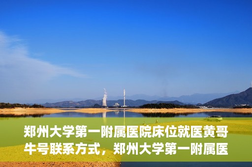郑州大学第一附属医院床位就医黄哥牛号联系方式，郑州大学第一附属医院床位就医攻略，黄哥牛号联系方式揭秘