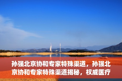 孙强北京协和专家特殊渠道，孙强北京协和专家特殊渠道揭秘，权威医疗资源的背后故事
