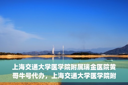 上海交通大学医学院附属瑞金医院黄哥牛号代办，上海交通大学医学院附属瑞金医院黄哥牛号预约代办服务