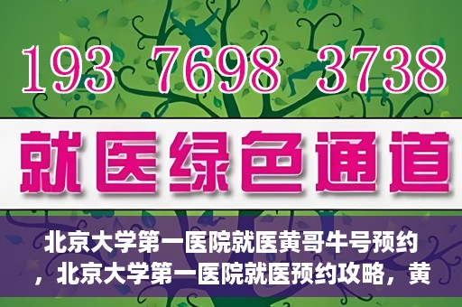 北京大学第一医院就医黄哥牛号预约，北京大学第一医院就医预约攻略，黄哥牛号预约详解
