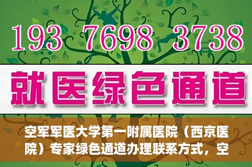 空军军医大学第一附属医院（西京医院）专家绿色通道办理联系方式，空军军医大学第一附属医院（西京医院）专家绿色通道办理指南，快速联系专家团队通道联系方式揭秘