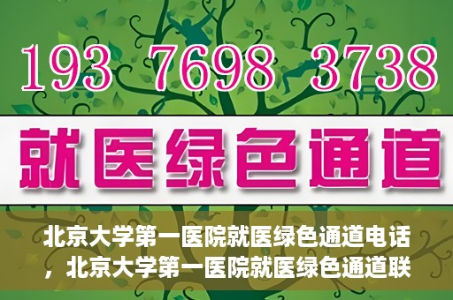北京大学第一医院就医绿色通道电话，北京大学第一医院就医绿色通道联系电话详解