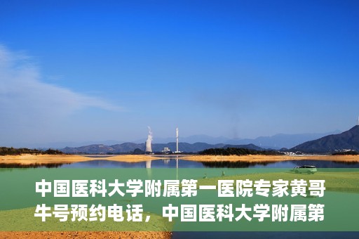 中国医科大学附属第一医院专家黄哥牛号预约电话，中国医科大学附属第一医院黄哥牛专家预约电话及挂号攻略