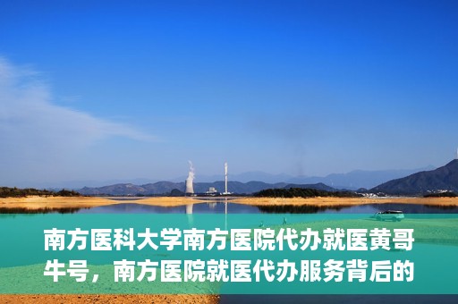 南方医科大学南方医院代办就医黄哥牛号，南方医院就医代办服务背后的故事，黄哥牛号引领就医新风尚