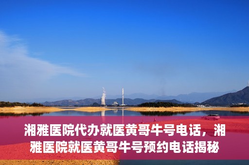 湘雅医院代办就医黄哥牛号电话，湘雅医院就医黄哥牛号预约电话揭秘