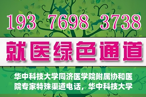 华中科技大学同济医学院附属协和医院专家特殊渠道电话，华中科技大学同济医学院附属协和医院专家特殊渠道专线电话揭秘
