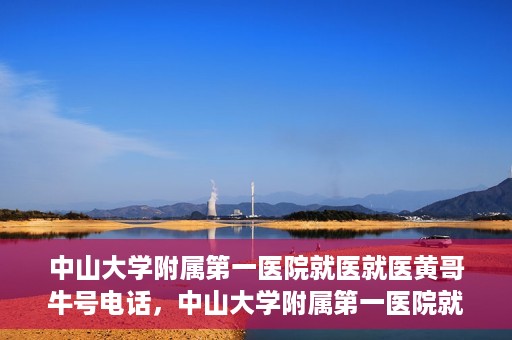 中山大学附属第一医院就医就医黄哥牛号电话，中山大学附属第一医院就医攻略，黄哥牛号电话全解析