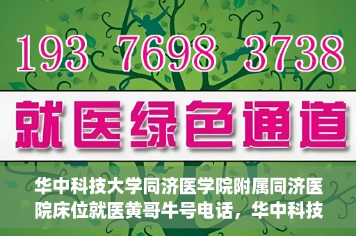 华中科技大学同济医学院附属同济医院床位就医黄哥牛号电话，华中科技大学同济医院床位预约就医信息及黄哥牛号联系电话解析