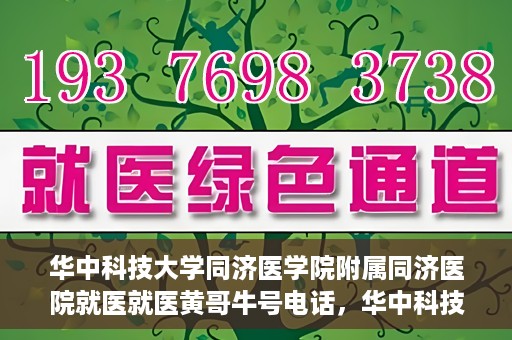 华中科技大学同济医学院附属同济医院就医就医黄哥牛号电话，华中科技大学同济医院就医指南，黄哥牛号电话一键预约就医服务