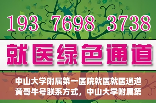 中山大学附属第一医院就医就医通道黄哥牛号联系方式，中山大学附属第一医院就医通道，黄哥牛号联系方式全解析