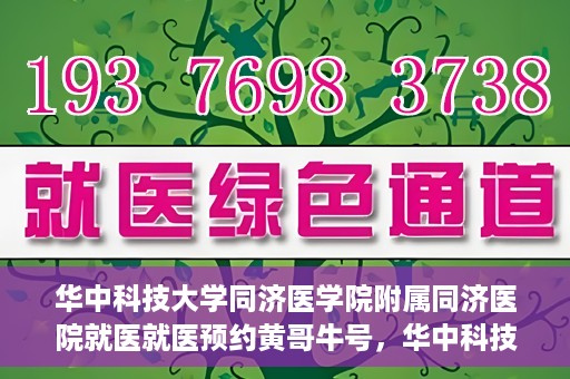 华中科技大学同济医学院附属同济医院就医就医预约黄哥牛号，华中科技大学同济医院就医预约攻略，黄哥牛号引领便捷就医新风尚
